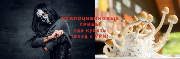 бошки Карпинск