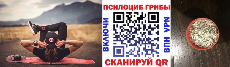 Купить  Арсеньев  Псилоцибиновые грибы Cubensis 